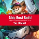 Panduan Build Chip Tersakit