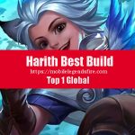 Panduan Build Harith Tersakit